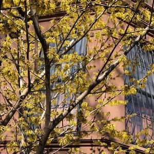 Meet your Posher, Ray